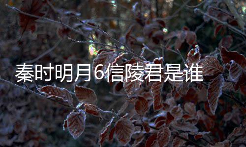 6信底是 魏无忌明月关系言到是谁什么和田陵君秦时