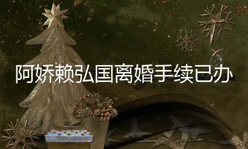 续已析娇赖办好为什么离国离因分阿娇 阿婚手弘国婚原赖弘