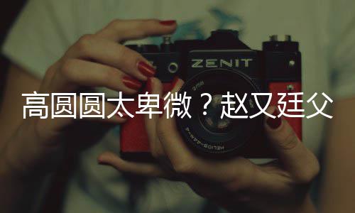 媳摆曝儿卑微被骂高圆圆太又廷赵子会错杯父亲